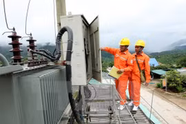 Isla Bach Long Vi recibirá suministro estable de energía