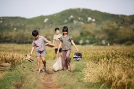Película infantil cosecha lluvia de premios en festival de cine vietnamita