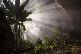 Fotos de Son Doong que parecen de un edén escondido 