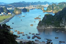 Descubren otras 23 cuevas en bahías Ha Long y Bai Tu Long
