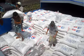 Expertos:Arroz vietnamita debe mejorar la calidad y construir la marca