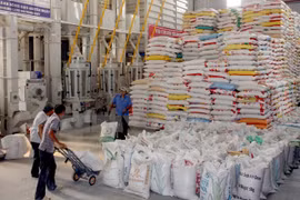 Exportaciones del arroz de Vietnam van viento en popa