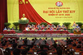 Sesionan asambleas partidistas en provincias vietnamitas