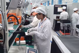 Promulgan Estrategia para Desarrollo de Ciencia, Tecnología e Innovación en 2030