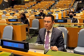Vietnam espera recibir apoyo de ONU en construcción y desarrollo nacional