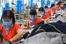 Debaten en Vietnam medidas para garantizar desarrollo sostenible de mercado laboral 