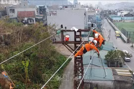 Foto ilustrativa. (Fuente: VNA)