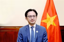El viceministro de Relaciones Exteriores de la nación indochina Do Hung Viet. (Fuente: VNA)
