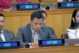 El embajador Dang Hoang Giang, jefe de la misión permanente de Vietnam en las Naciones Unidas (Fuetne: VNA)