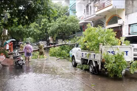 La provincia de Ha Long se centra en aliviar consecuencias de tormenta Prapiroon. (Fuente: VNA)