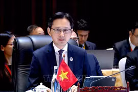 El viceministro de Relaciones Exteriores de Vietnam Do Hung Viet. (Fuente: VNA)