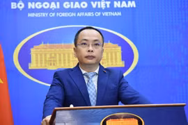 El portavoz adjunto de la Cancillería, Doan Khac Viet (Fuente: VNA)
