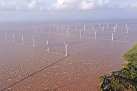 Energía eólica marina: nueva fuerza impulsora para sector del petróleo y gas. (Fuente: baodautu.vn)