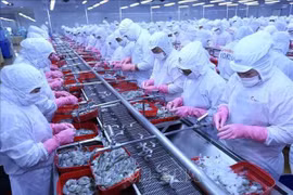 Adhesión del Reino Unido al CPTPP favorecerá actividades comerciales de Vietnam