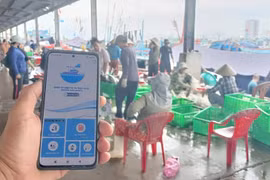 Localidad vietnamita aplica alta tecnología para lucha contra IUU. (Fuente: VNA)