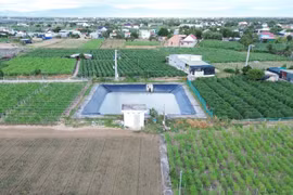 Cultivo agrícola en la provincia de Ninh Thuan. (Fuente: VNA)