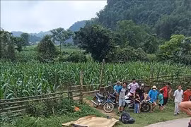 Escena del accidente (Fuente:VNA)
