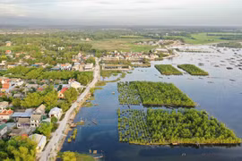 Día Mundial del Medio Ambiente 2021: Restauración de los ecosistemas