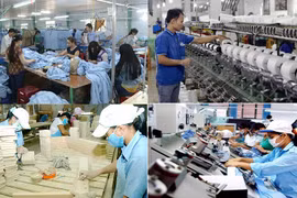Desarrollan recursos humanos de alta calidad en región del Sudeste de Vietnam