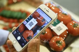 Promueven digitalización en trazabilidad de productos agroalimentarios en Vietnam
