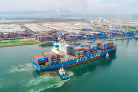 Fortalecen vínculos regionales para exportaciones sostenibles en Vietnam