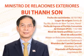Bui Thanh Son, Ministro de Relaciones Exteriores de Vietnam