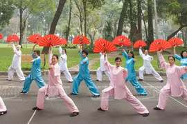Artes marciales con abanicos en Vietnam