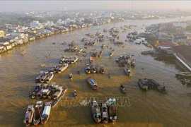 Programa OCOP aumenta atractivo de destinos turísticos en Delta del Mekong en Vietnam
