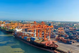 Vietnam busca desarrollar flota de transporte marítimo internacional