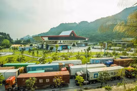 Vibrante comercio Vietnam - China a principios de 2024