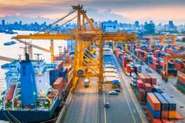 Sector agrícola contribuye al superávit comercial de Vietnam