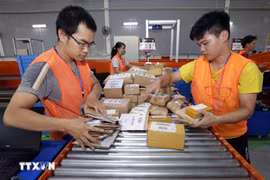 Plataformas multinacionales de comercio electrónico aumentan presencia en Vietnam