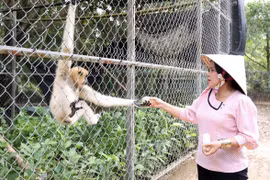 Desarrollan productos para atraer turistas al Parque Nacional U Minh Thuong