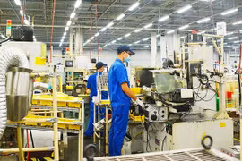 Poseen espacio para el crecimiento empresas vietnamitas de tecnología