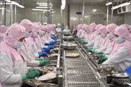 Recuperan exportaciones de camarón vietnamita a principales mercados