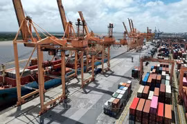 Vietnam intensifica transformación digital en transporte y logística