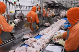 Potencial de exportación de productos alimenticios tradicionales vietnamitas