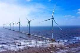 Vietnam se esfuerza por acelerar transición energética