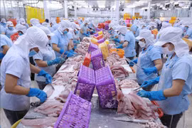 BAD prevé un crecimiento económico de Vietnam del 6% en 2024