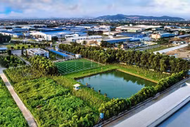 Discuten perspectivas de desarrollo de comercio verde en Vietnam