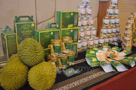 Buscan mejorar marcas de especialidades del Delta del Mekong en Vietnam