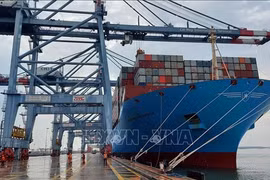 Flota de Vietnam manejará una quinta parte de las exportaciones en 2030
