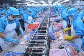 ASEAN superará a UE como mayor receptor de pangasius vietnamita