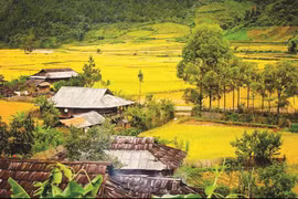 Apoyan a minorías étnicas en Vietnam en construcción de viviendas