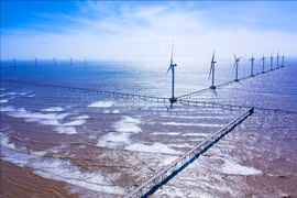 Promueven transición a energía verde en Vietnam