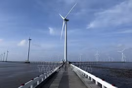 Planificación energética VIII de Vietnam y su meta de emisiones netas cero