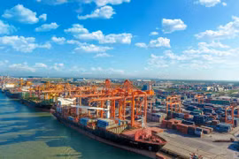 Vietnam hacia el desarrollo de puertos verdes