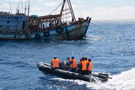 Guardia Costera de Vietnam intensifica lucha contra la pesca ilegal