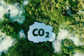 Promueven desarrollo del mercado de carbono en Vietnam