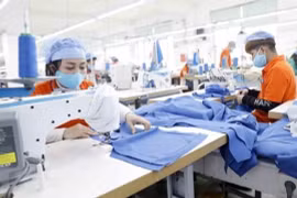 CPTPP aún tiene potencial sin explotar para empresas vietnamitas